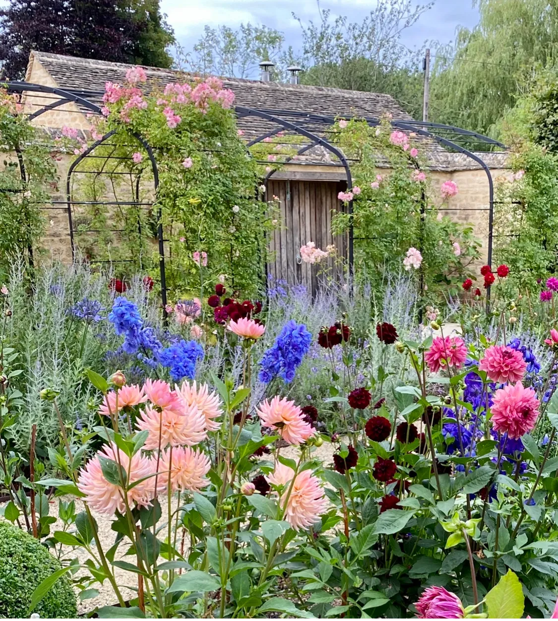 дизайн сада