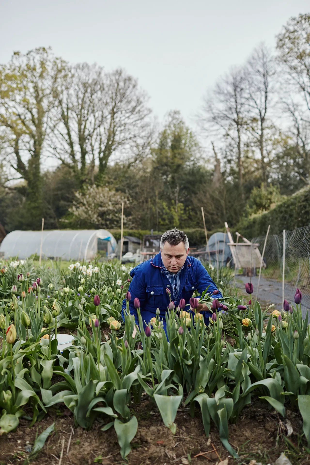 дизайн сада