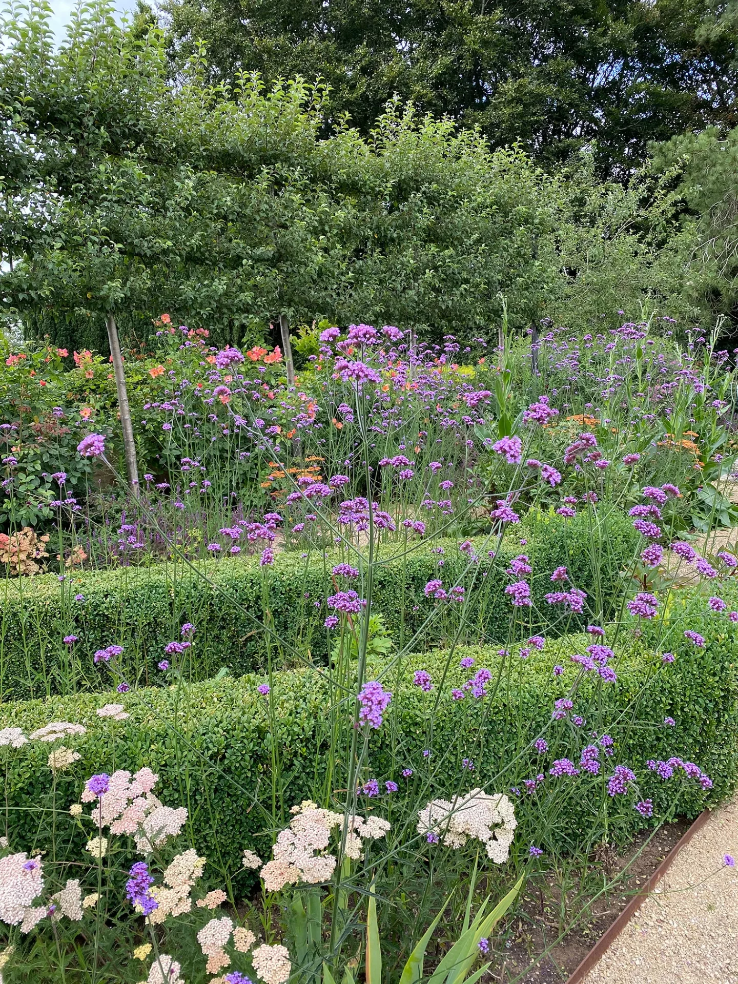 дизайн сада