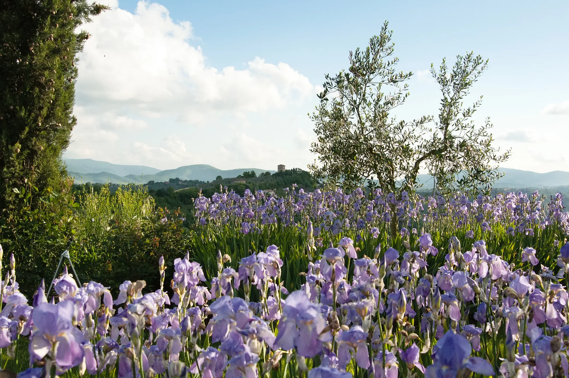 Итальянский бунт: как Арабелла Леннокс-Бойд создала рай в каменных джунглях