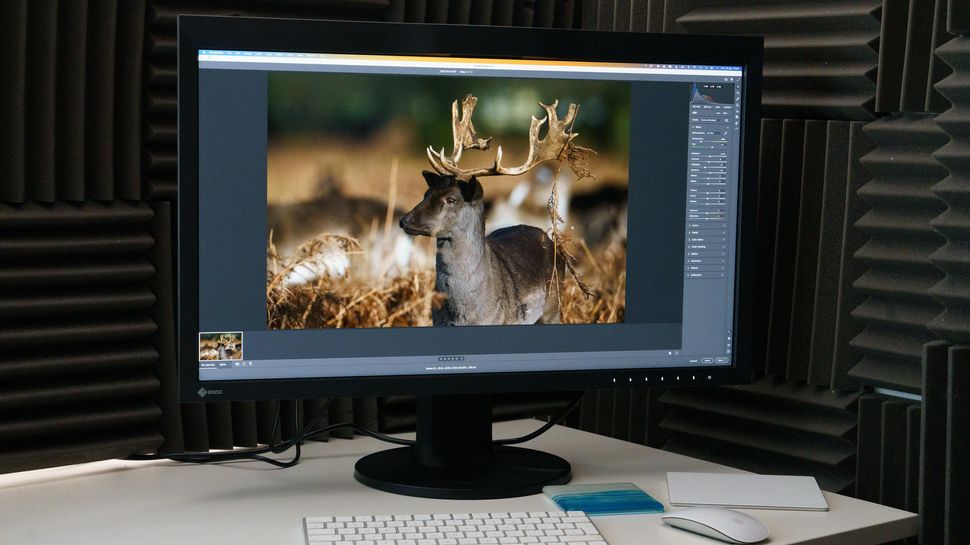 Eizo ColorEdge CG2700X 