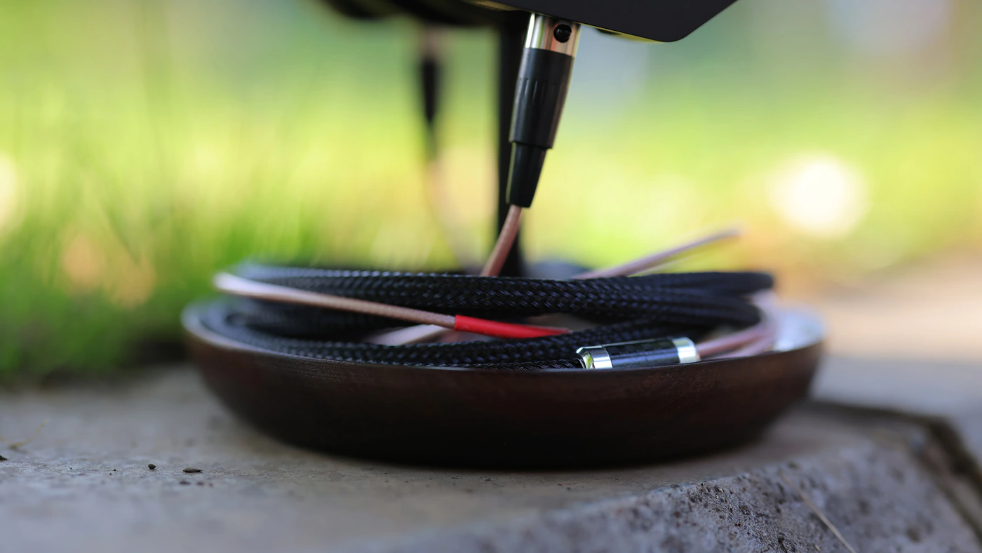 Erzetich Mania V2024