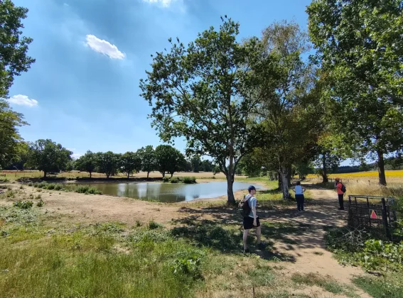 Обзор Fairphone 6: этот ремонтируемый телефон стал лучше, чем когда-либо фото