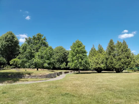 Обзор Fairphone 6: этот ремонтируемый телефон стал лучше, чем когда-либо фото