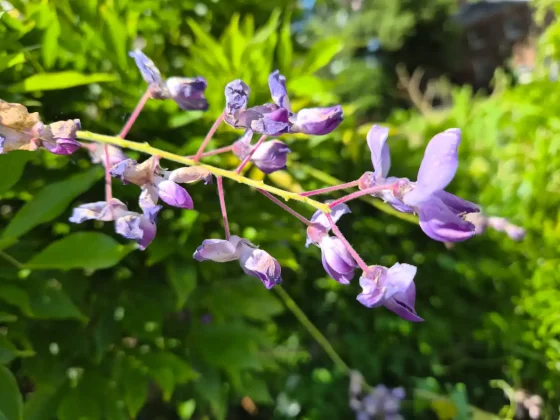 Обзор Galaxy Z Flip 7: раскладной телефон, который мы ждали фото