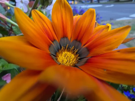 Обзор Galaxy Z Fold 7: король складных телефонов наконец определен? фото