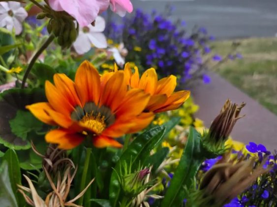 Обзор Galaxy Z Fold 7: король складных телефонов наконец определен? фото