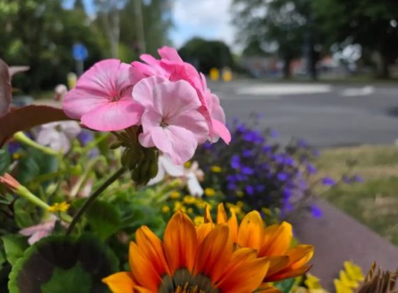 Обзор Galaxy Z Fold 7: король складных телефонов наконец определен? фото