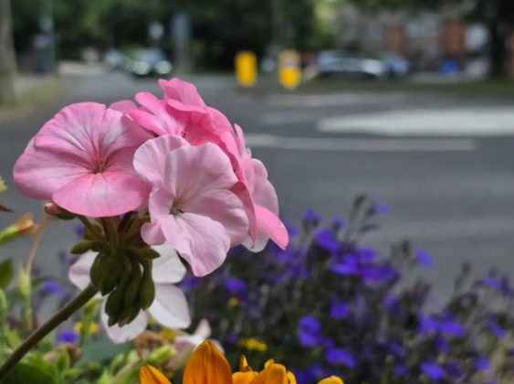 Обзор Galaxy Z Fold 7: король складных телефонов наконец определен? фото