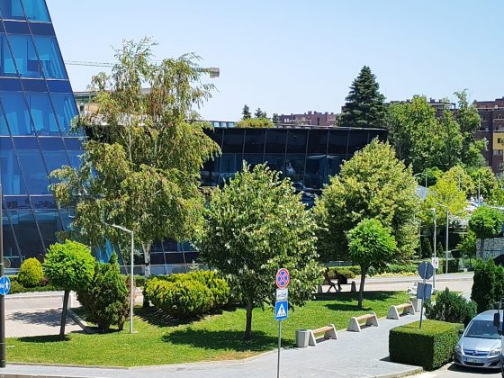 Honor 400 против Honor 400 Pro: компактный или мощный? фото