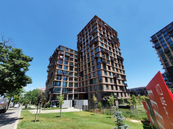 Honor 400 против Honor 400 Pro: компактный или мощный? фото