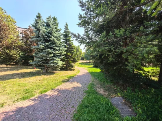 Обзор Huawei Pura 80 Ultra: одной ногой в будущем, другой — в прошлом фото