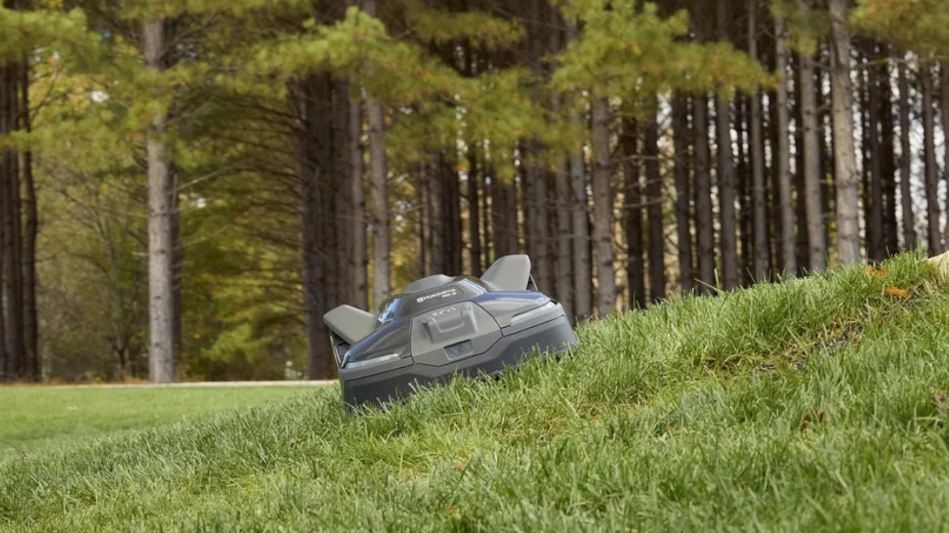 Роботы-газонокосилки: стоит ли переплачивать? Разбор перед покупкой