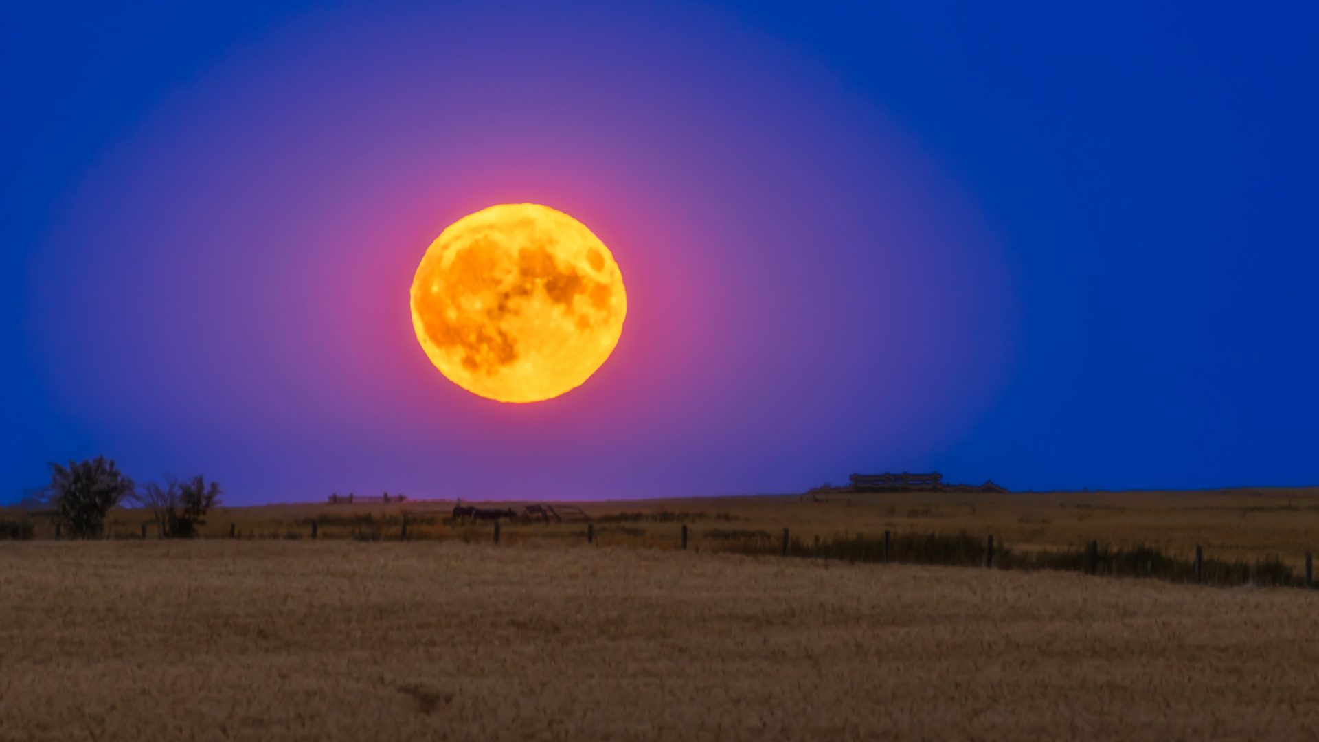 401441Как сфотографировать полную луну