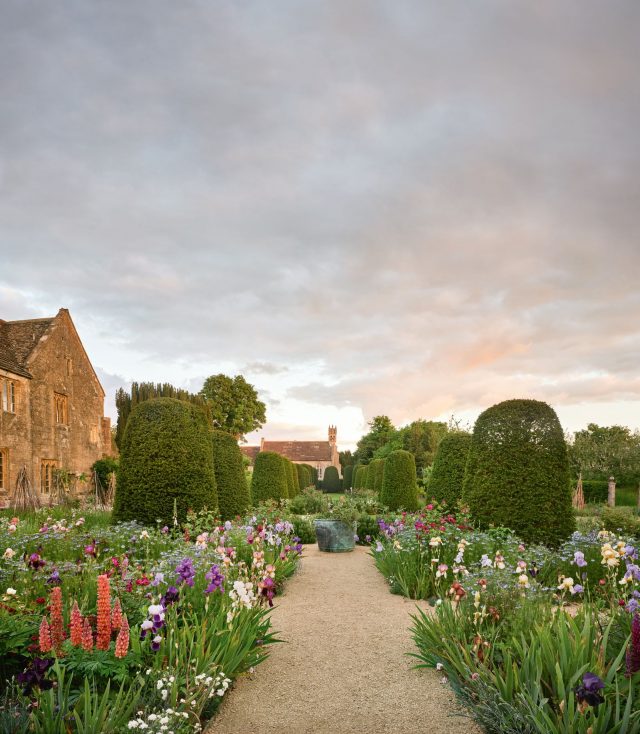 идеи для садовых бордюров