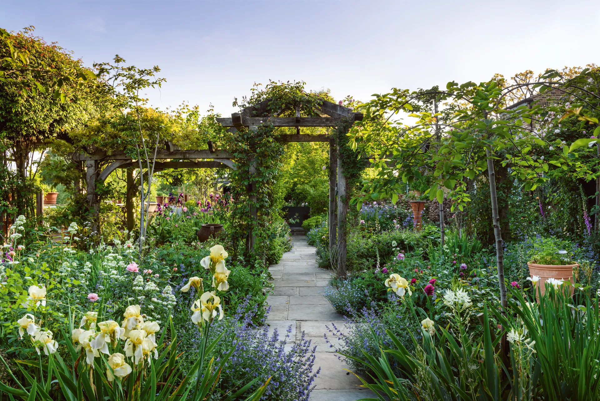 идеи для садовых бордюров