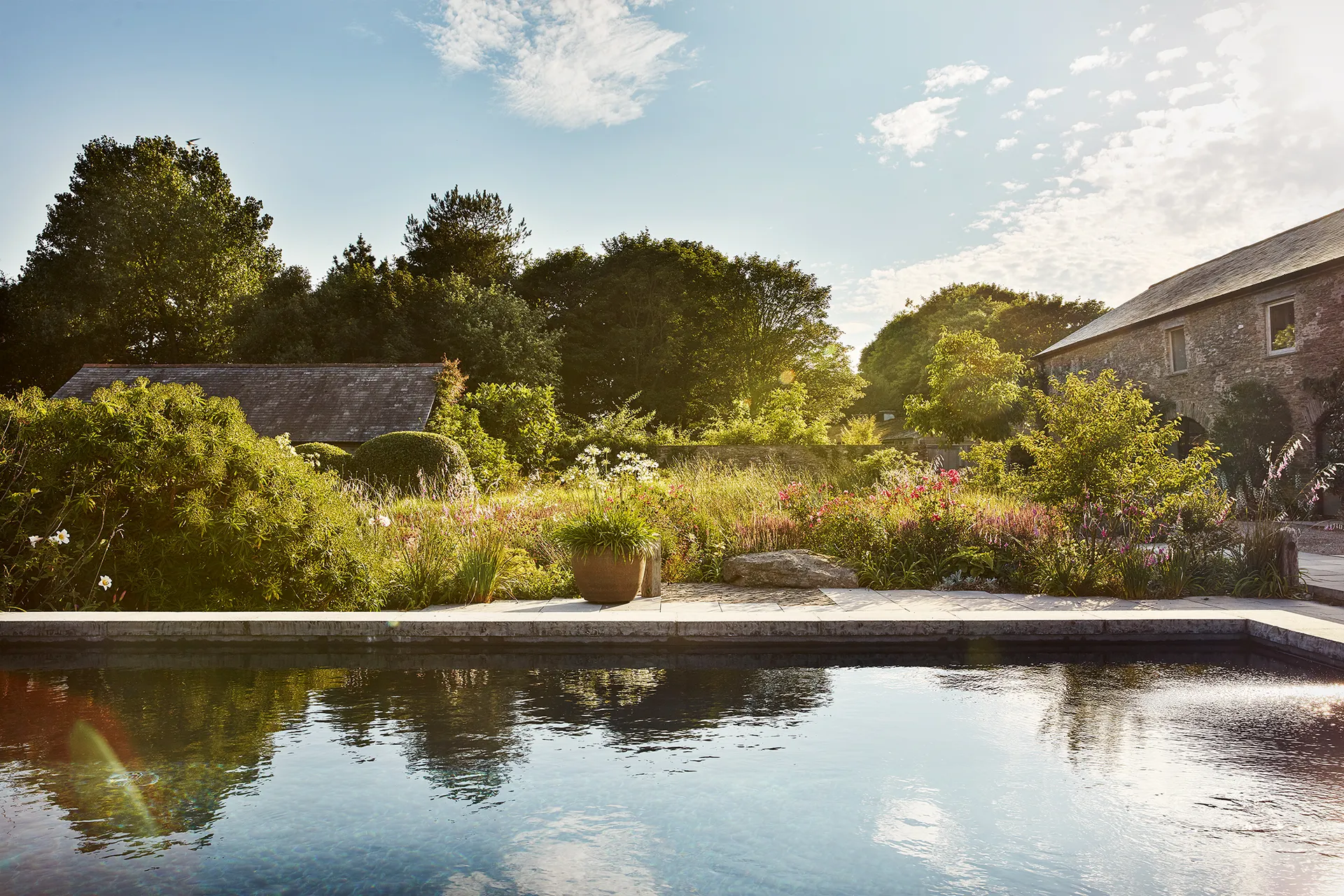 идеи для садовых бордюров