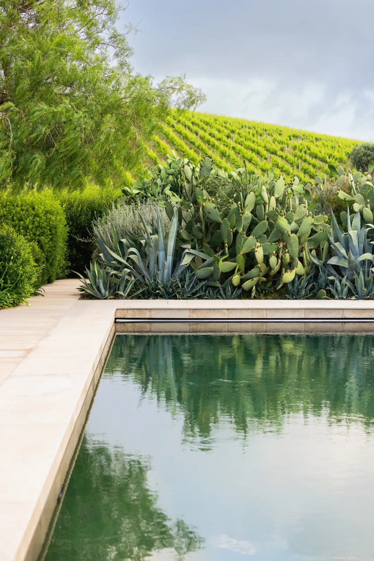 идеи для садовых бордюров