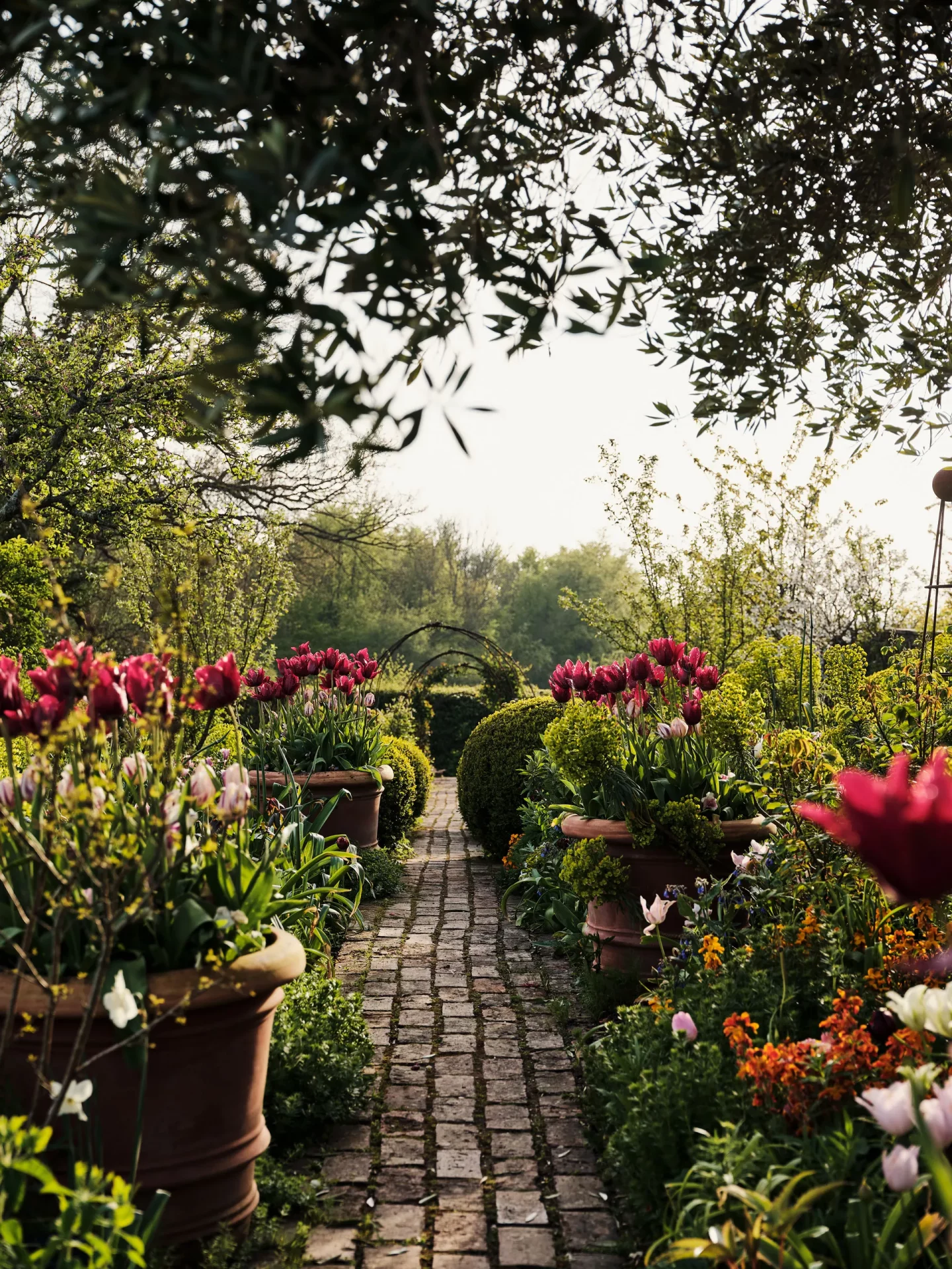 идеи для садовых бордюров