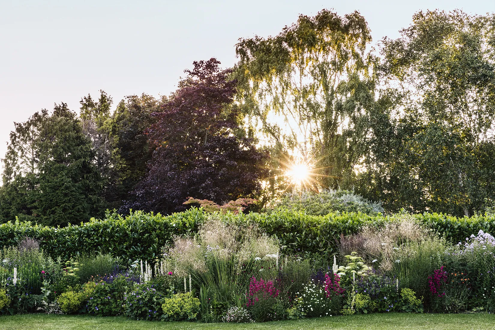 идеи для садовых бордюров