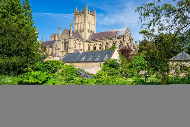 Лучшие объективы Sony A7 IV для портретов, улицы и свадьбы фото