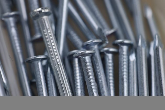 Лучшие макрообъективы: фото — как под микроскопом фото