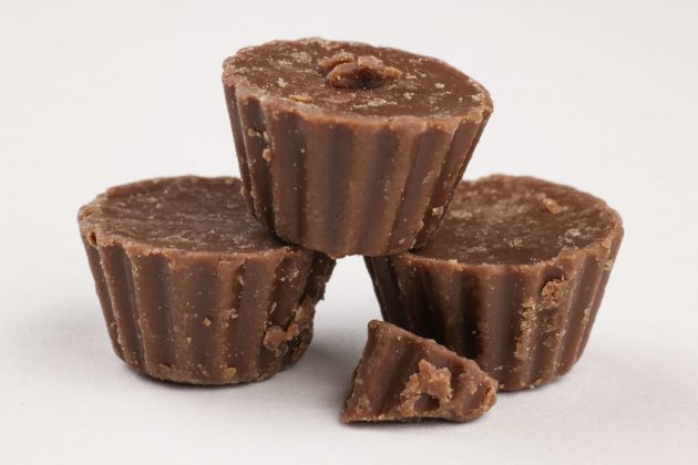 Лучшие макрообъективы: фото — как под микроскопом фото