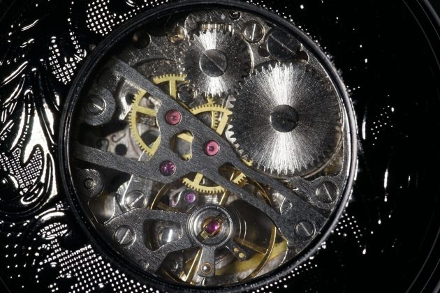 Лучшие макрообъективы: фото — как под микроскопом фото