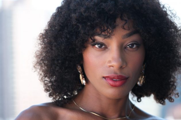 Лучшие макрообъективы: фото — как под микроскопом фото