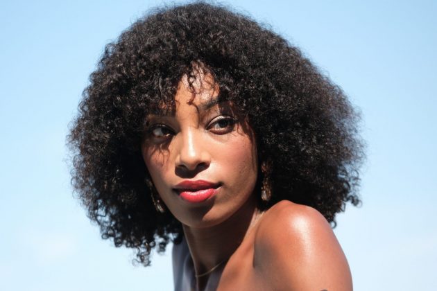 Лучшие макрообъективы: фото — как под микроскопом фото