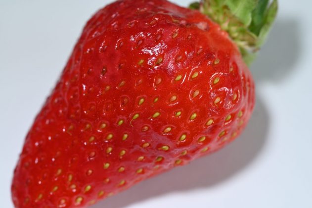 Лучшие макрообъективы: фото — как под микроскопом фото