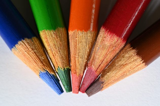 Лучшие макрообъективы: фото — как под микроскопом фото