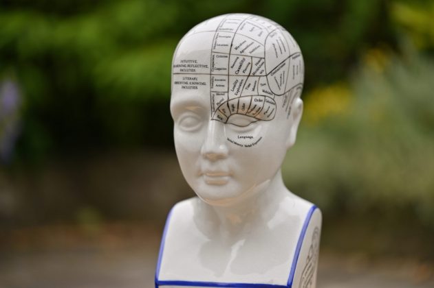 Лучшие макрообъективы: фото — как под микроскопом фото