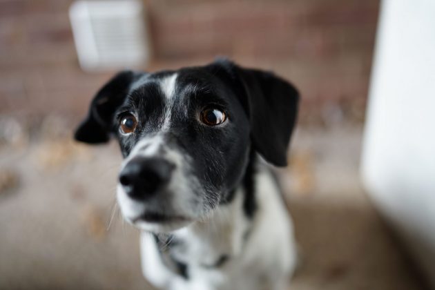 Лучшие объективы Sony A7 IV для портретов, улицы и свадьбы фото