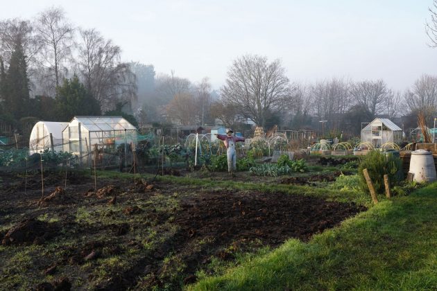 Лучшие объективы Sony A7 IV для портретов, улицы и свадьбы фото