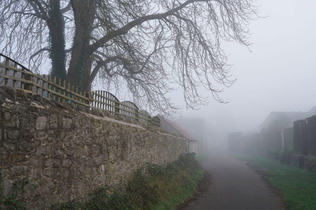 Лучшие объективы Sony A7 IV для портретов, улицы и свадьбы фото