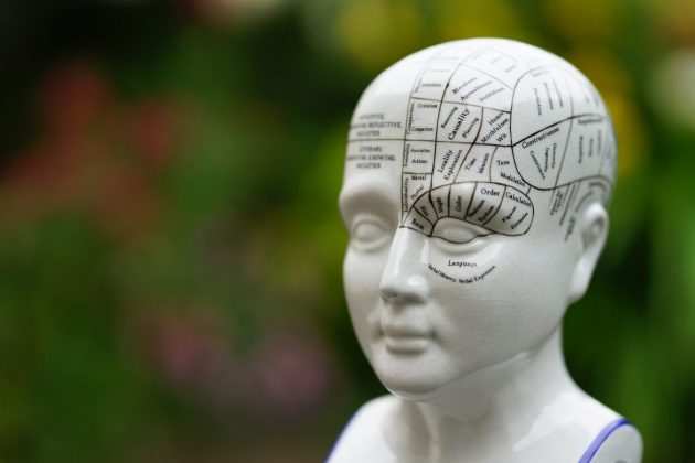 Лучшие объективы Sony A7 IV для портретов, улицы и свадьбы фото