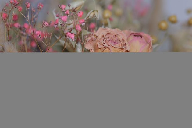 Лучшие макрообъективы: фото — как под микроскопом фото