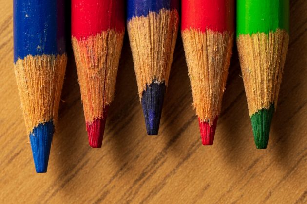 Лучшие макрообъективы: фото — как под микроскопом фото