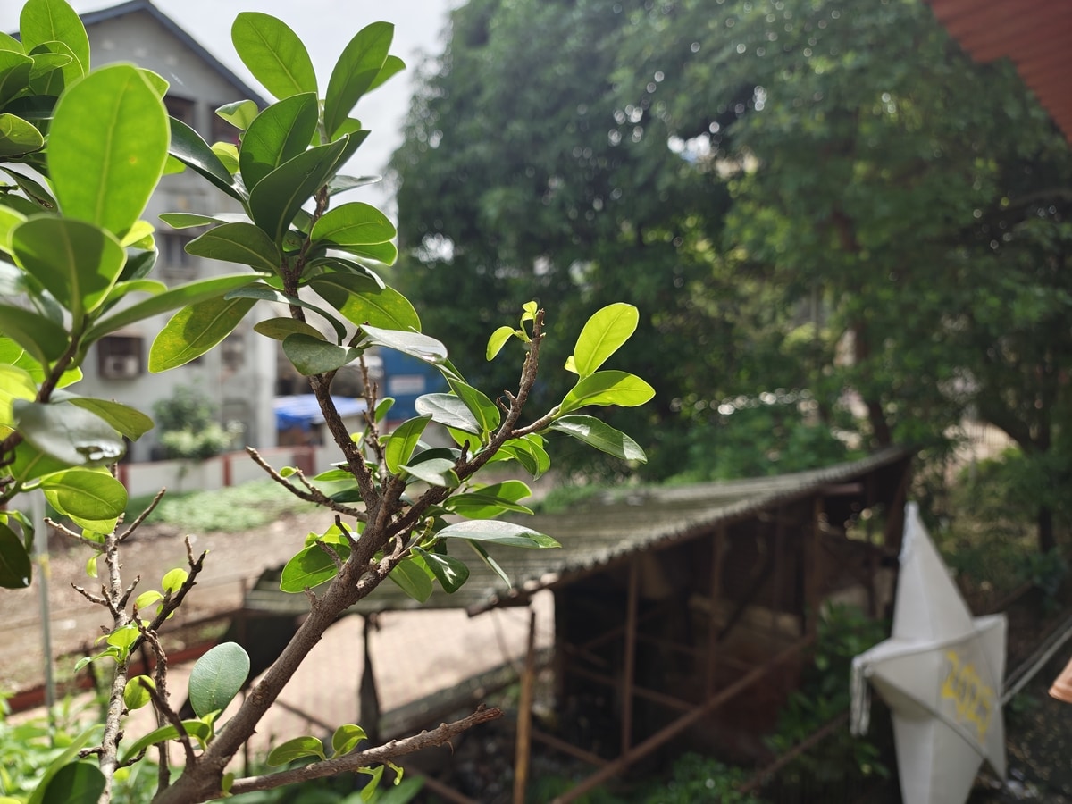 Обзор Samsung Galaxy S25 Edge: всё премиальное, кроме Pro