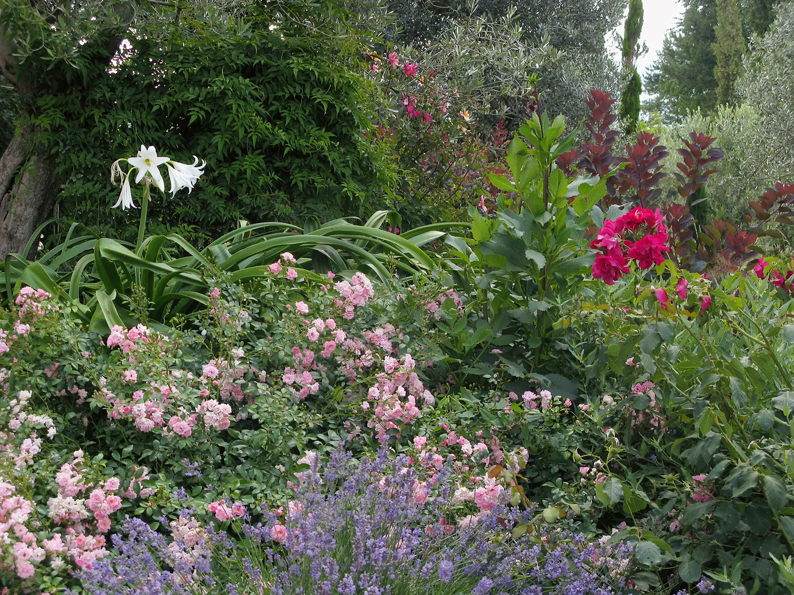 Итальянский бунт: как Арабелла Леннокс-Бойд создала рай в каменных джунглях