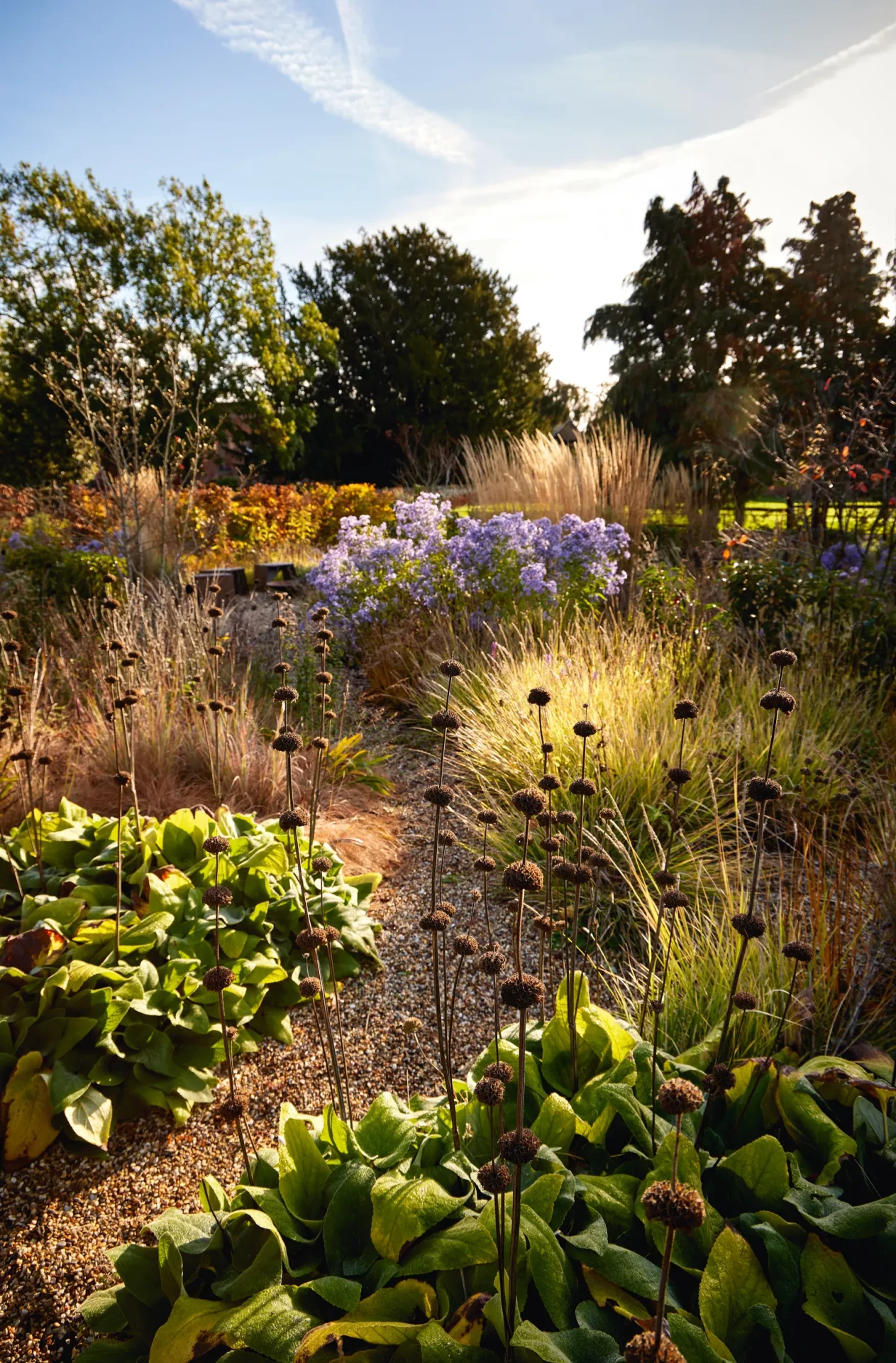 Элегантный сад в стиле натурализма в одной из самых красивых деревень Эссекса