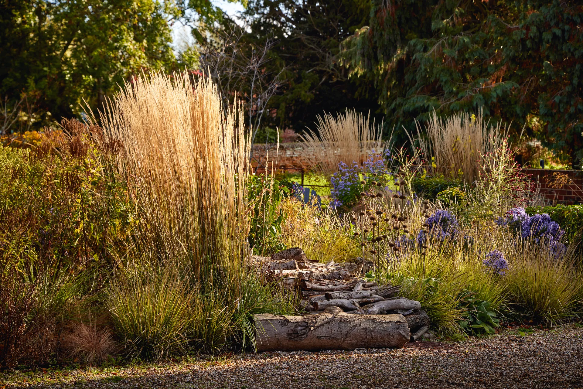 Элегантный сад в стиле натурализма в одной из самых красивых деревень Эссекса