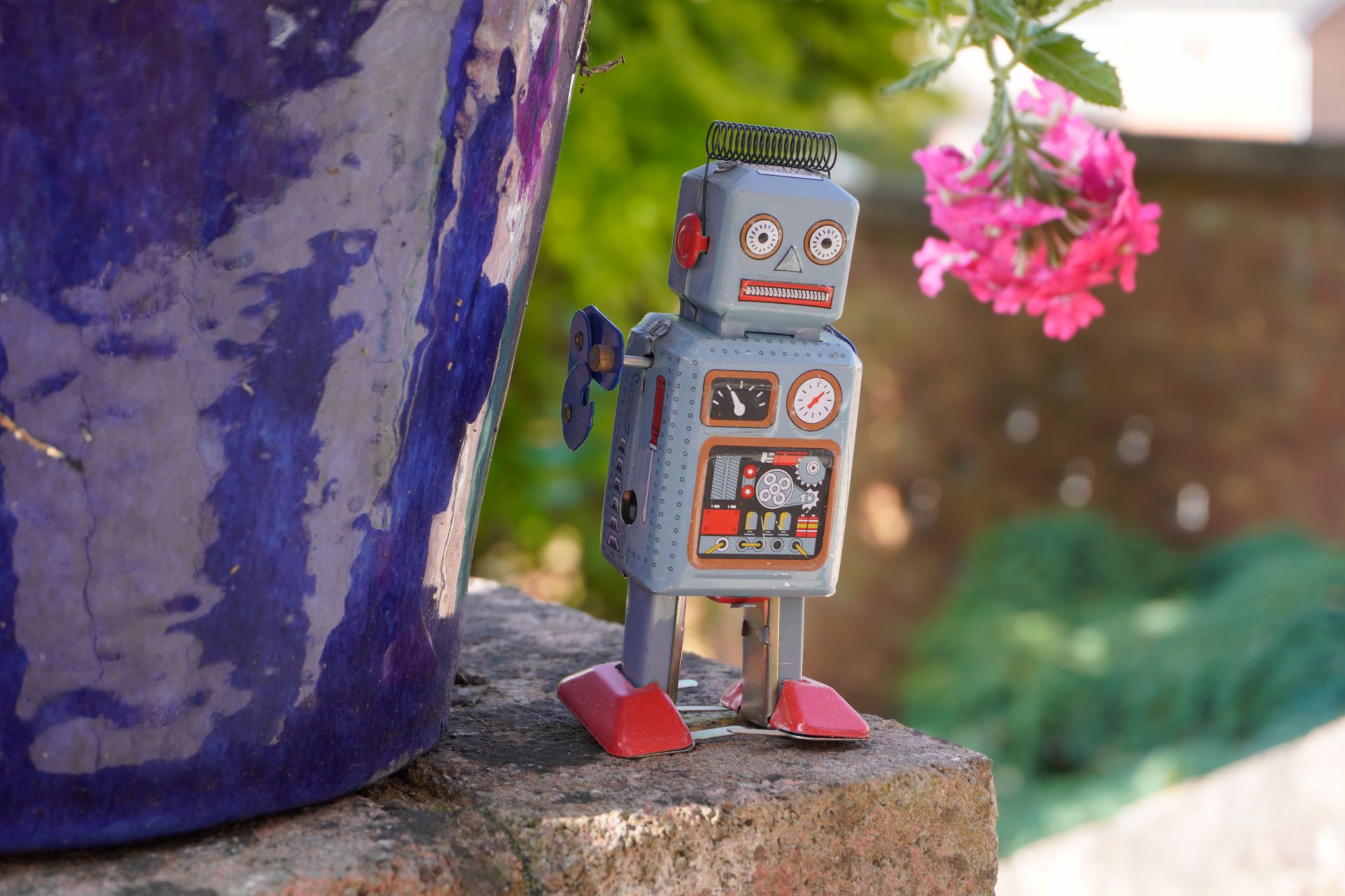 камера для начинающих