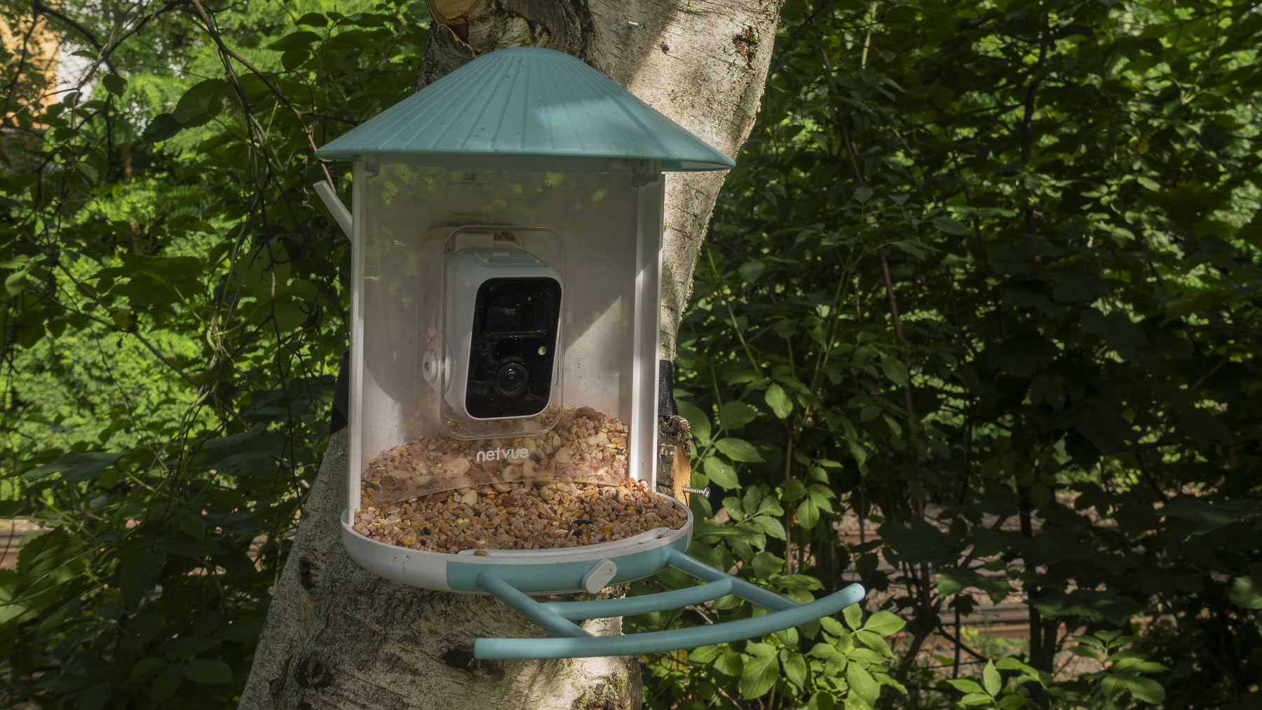 Netvue Birdfy Feeder AI