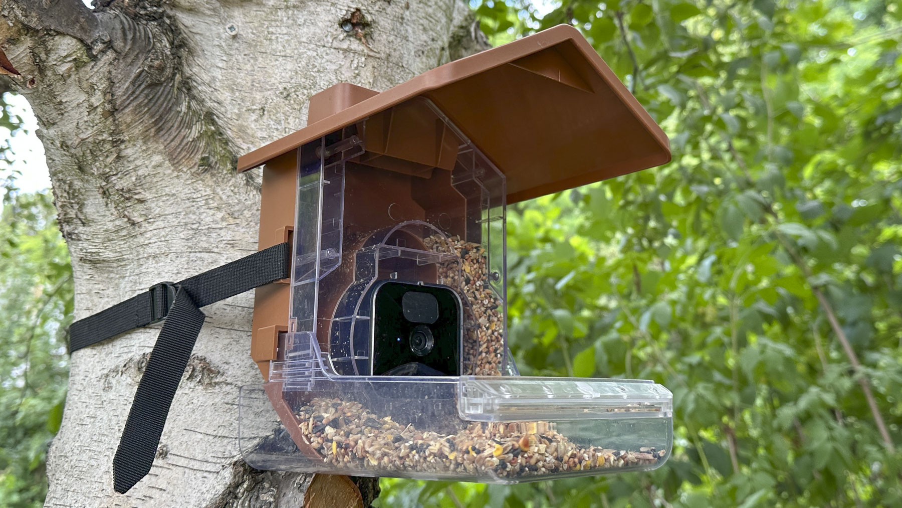 Wasserstein Bird Feeder Camera Case