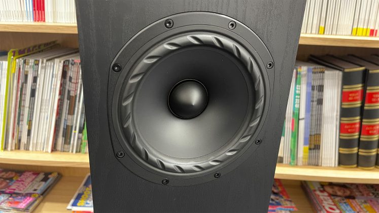 Fyne Audio F501E