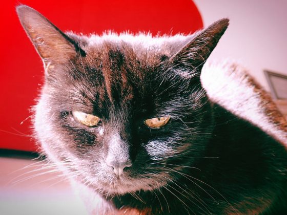 OM System Tough TG-7