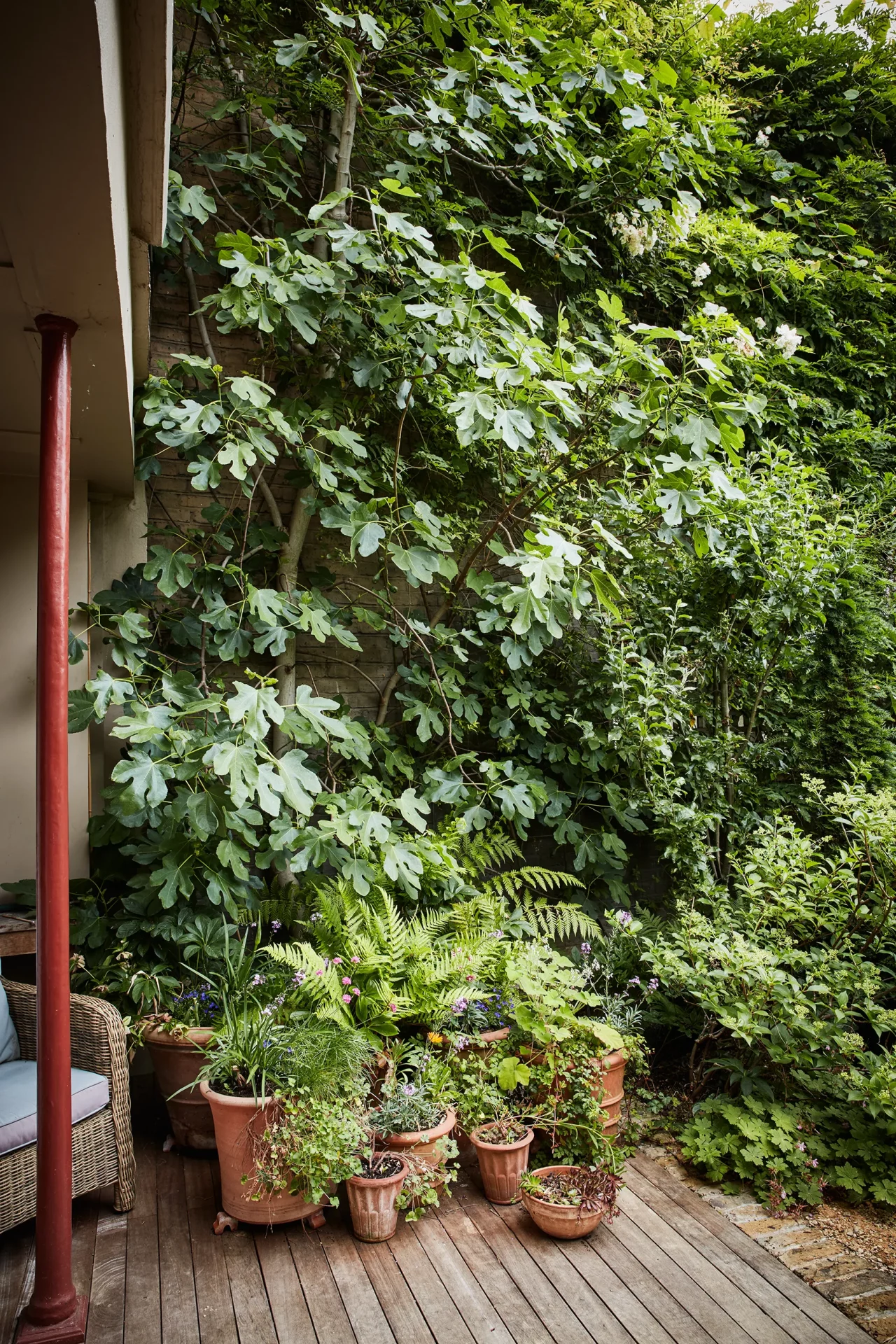 Контейнерный сад