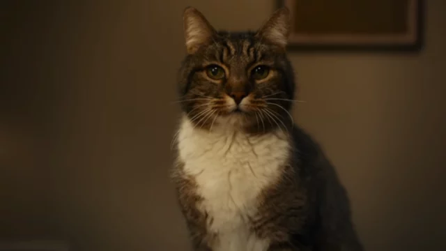 iOS 26 и ИИ: Apple наконец-то догоняет конкурентов?